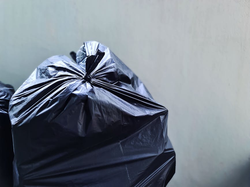 Woolwich Dockyard same day rubbish collection tips for locals